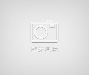 ROLLER 6 basic摇床